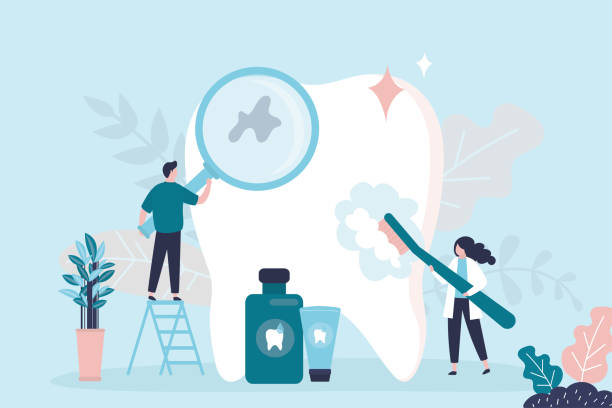  Norwich, NY Dental Services Pros
